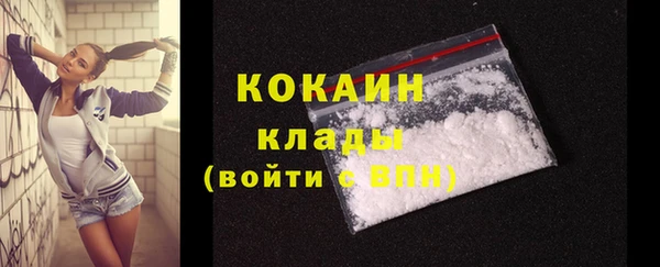 молекула духа Новодвинск