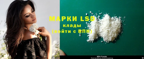 Альфа ПВП Новозыбков