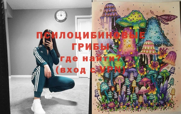 мдпв Нязепетровск