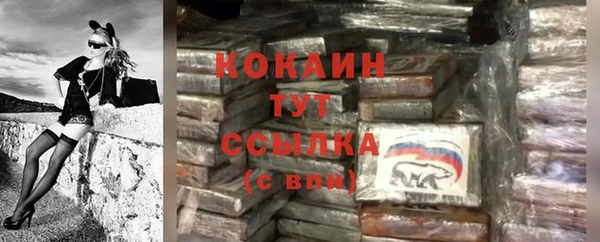 молекула духа Новодвинск