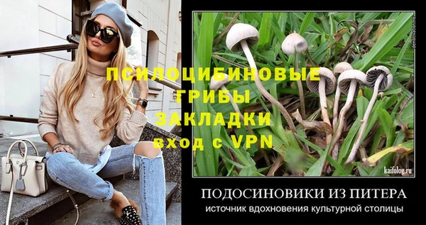 амф Новокубанск