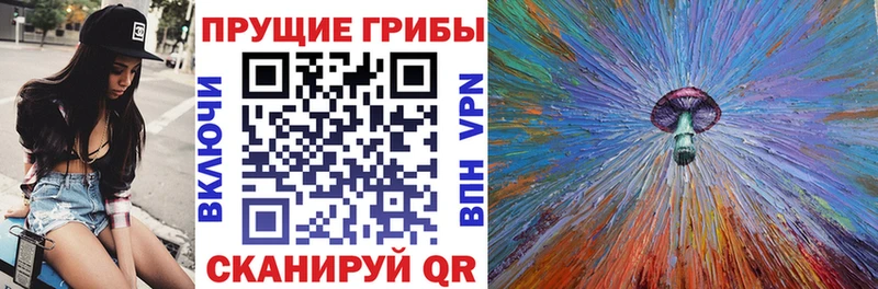 Галлюциногенные грибы MAGIC MUSHROOMS Кингисепп