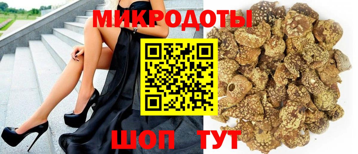 дарнет шоп  Псилоцибиновые грибы мицелий  Вход с VPN  Кингисепп 