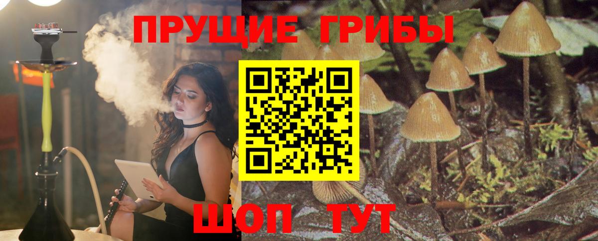 Галлюциногенные грибы MAGIC MUSHROOMS Кингисепп