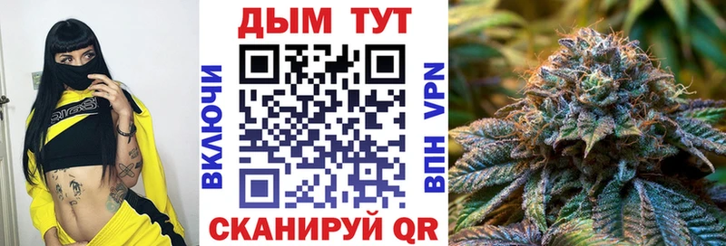 хочу   Кингисепп  KRAKEN   Бошки Шишки MAZAR 